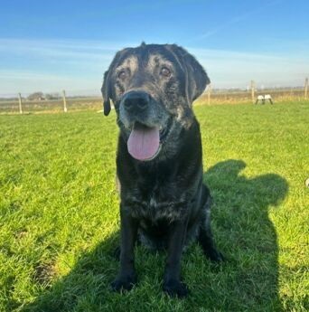 Bo.zittend aangepast 123