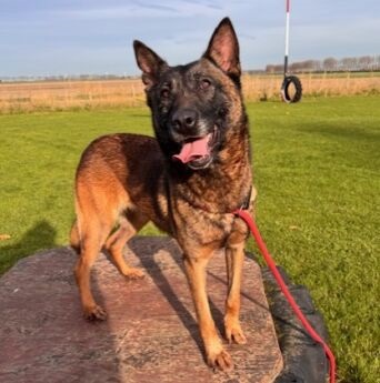 Foto.staand aangepast