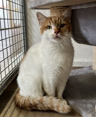 Karel.zittend aangepast 2025092