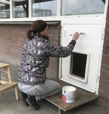 De luikjes van de honden worden ook niet vergeten Anne verven