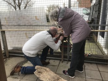 Het kattenren-team van vrijdag 9 maart KK1 ren