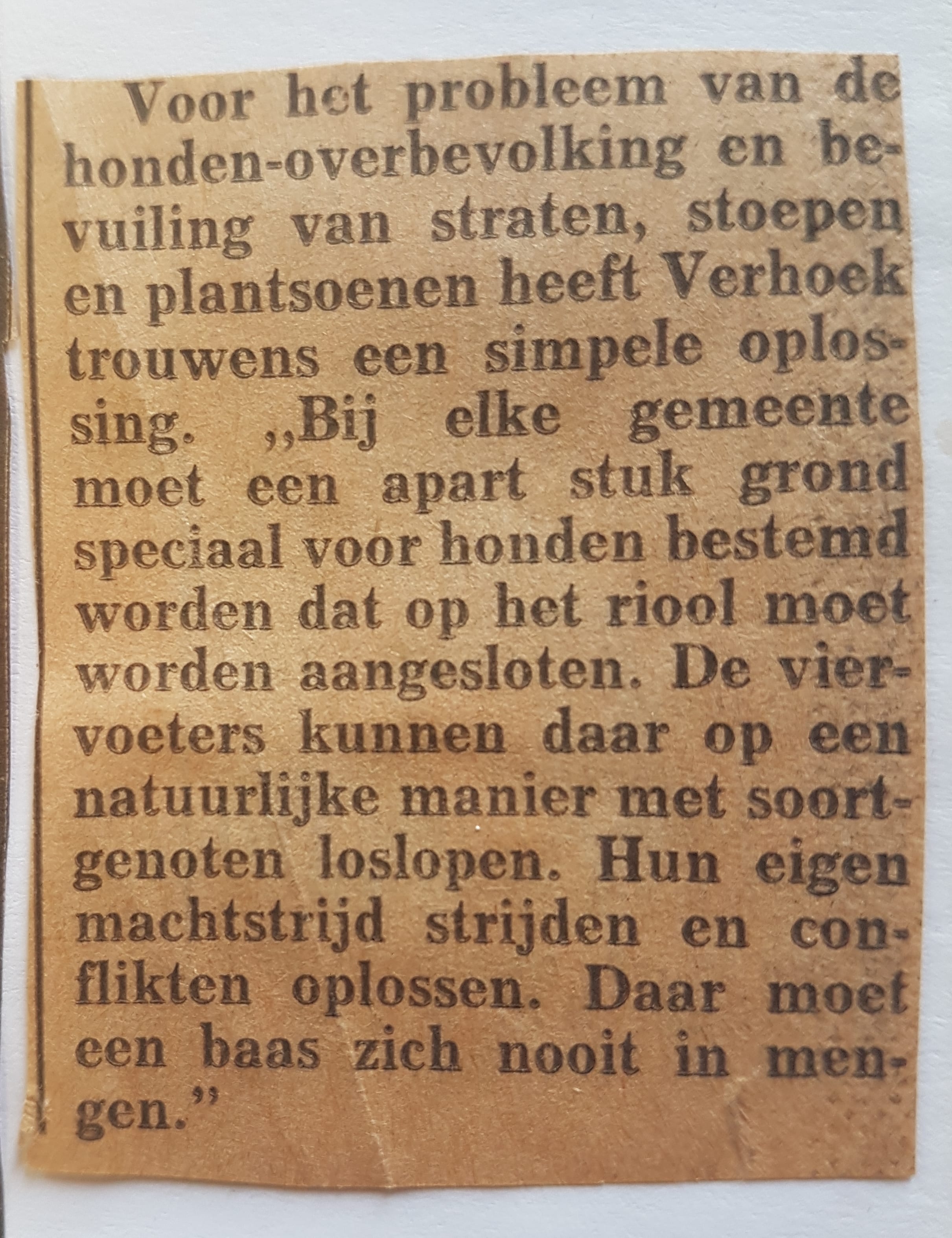 1988 11 wie is hier de baas 2