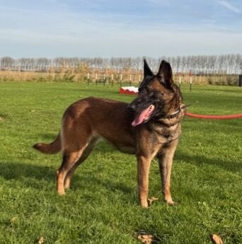 foto.staand aangepast