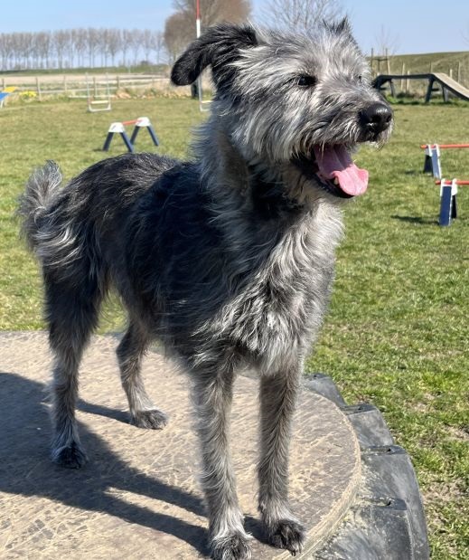 roxy.goed.zijkant aangepast 2025